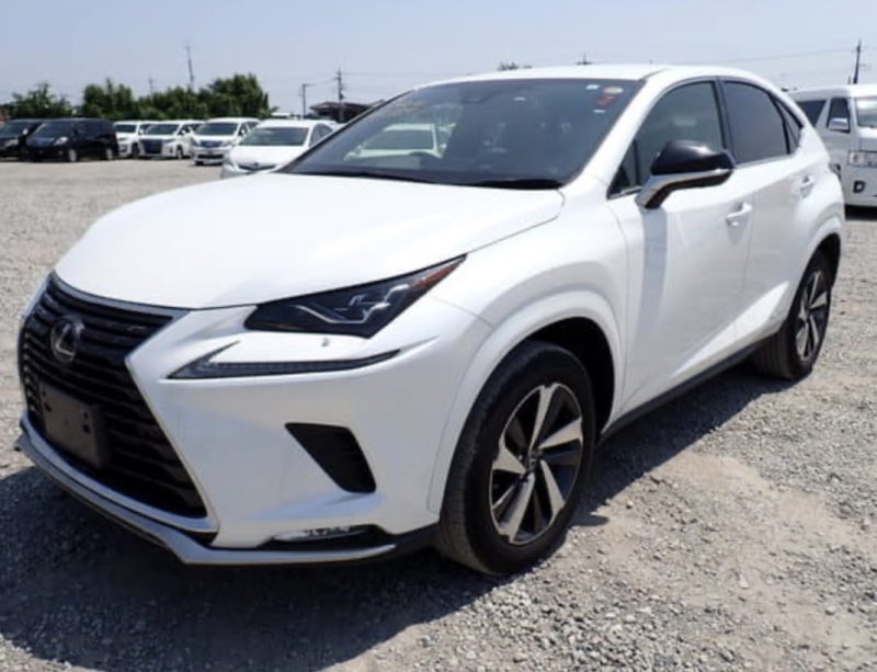 Lexus NX 300H 